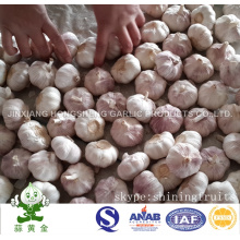 10kgs Carton Loosely Normal Ail Blanc De Chine